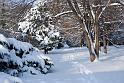 2010-12-02, Neuschnee (20)